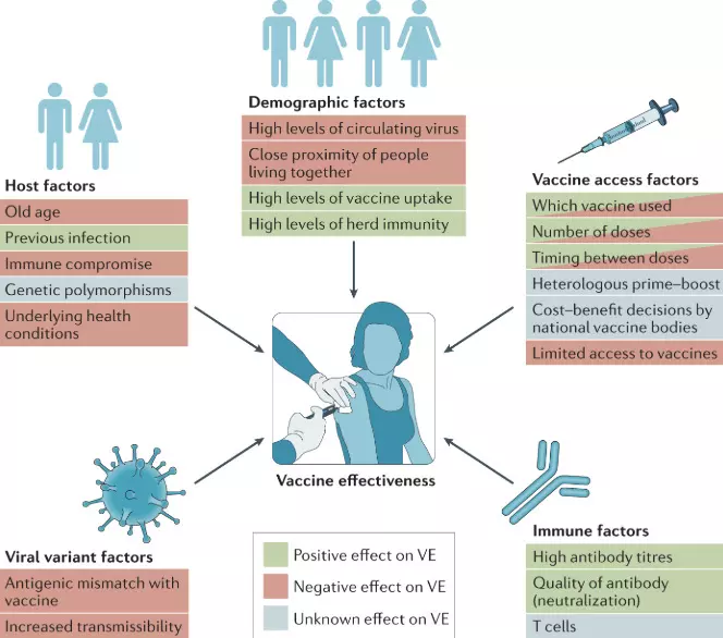 Big Drop In Antibodies Within 4 Months Of Covid Shot, Says Study In India