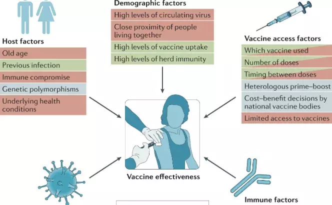 Big Drop In Antibodies Within 4 Months Of Covid Shot, Says Study In India